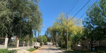 Vandalismo en las luminarias