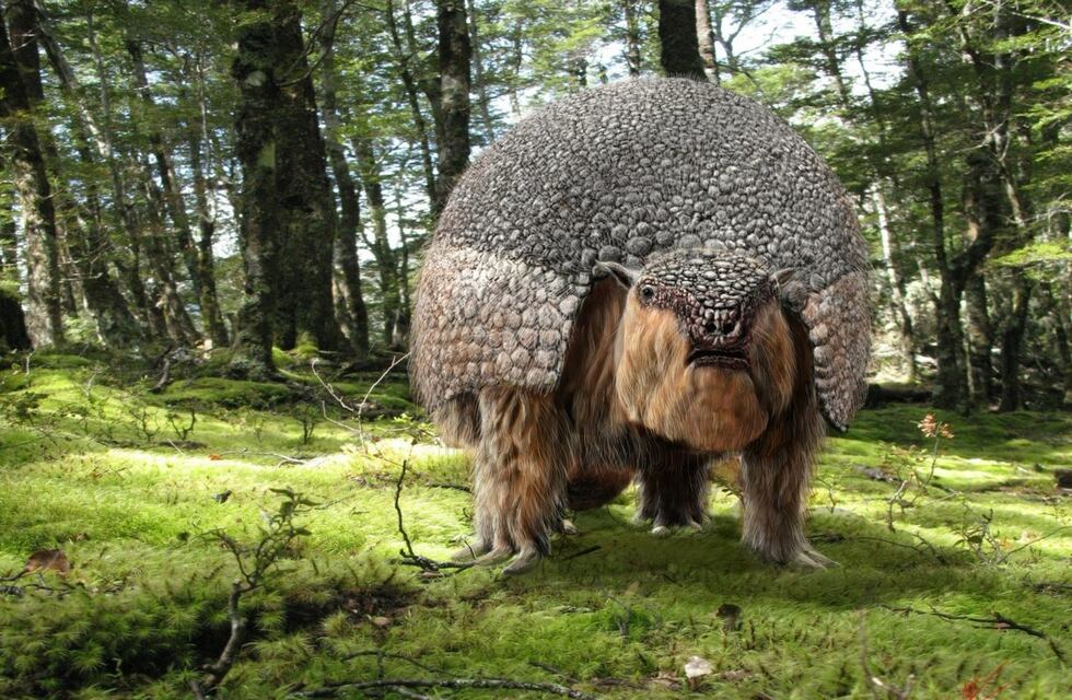 En la cuenca del Rio Dulce encontraron restos de un gliptodonte