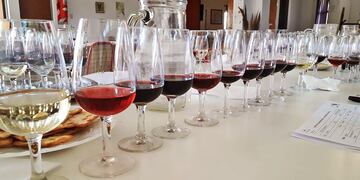 Este lunes, el Ministerio de la Producción aclaró a una empresa bodeguera sanjuanina que en la Argentina hay vino y no es necesario traerlo desde Chile para fraccionarlo.