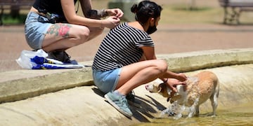 En un día de calor sofocante, una chica refresca a su cachorro en la fuente del Paseo Sobremonte de la ciudad de Córdoba. (José Hernández)