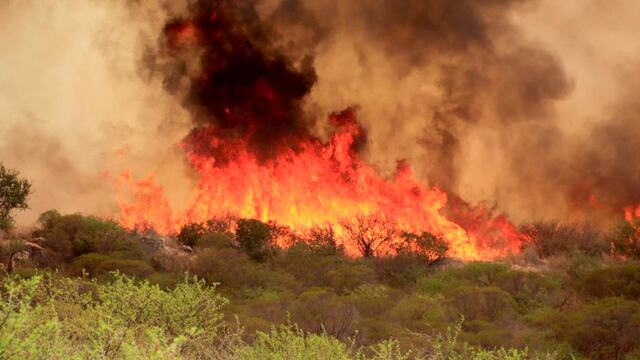 Incendio en Córdoba. El fuego avanza y complica casas en Playas de Oro.