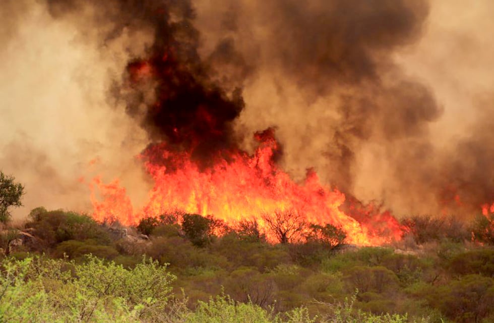 Los impactantes videos del incendio forestal que preocupa a Playas de Oro