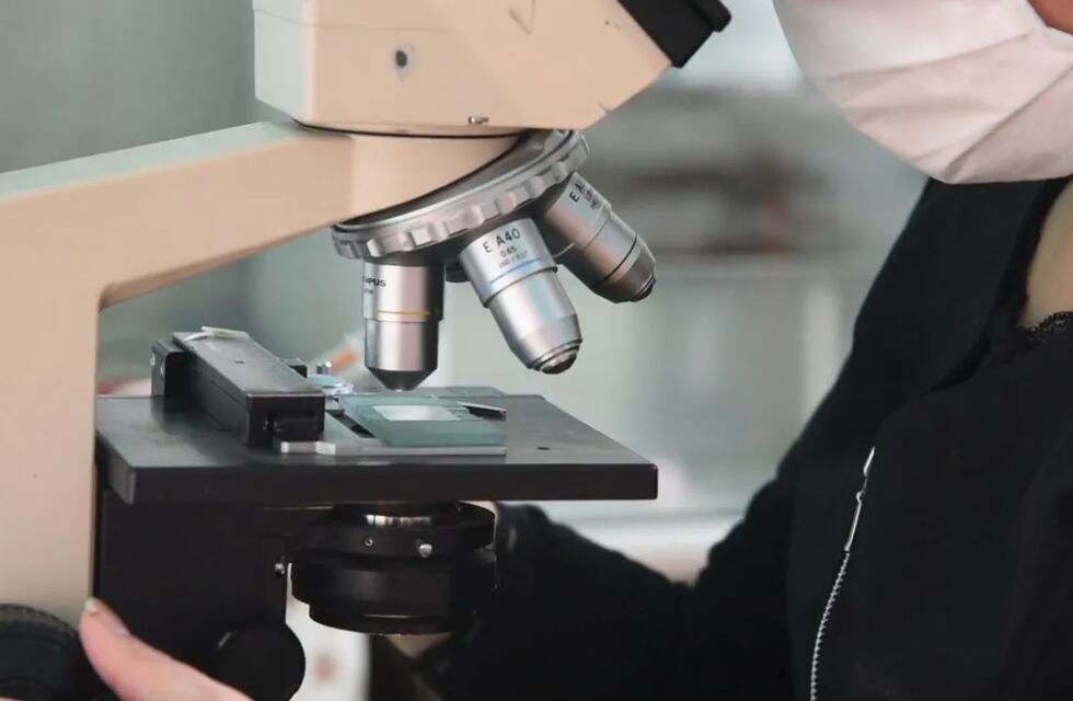 Coronavirus en Jujuy: el registro de casos activos cae a 403