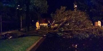 Tormenta Paraná 18 12 2020