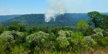 Nuevos focos de incendios se registran en la Reserva Yabotí