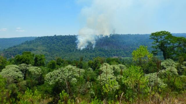 Nuevos focos de incendios se registran en la Reserva Yabotí