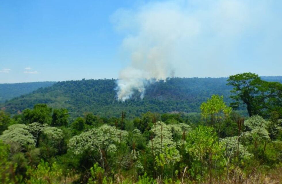Nuevos focos de incendios se registran en la Reserva Yabotí