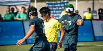 Argentina perdió el clásico con Brasil por Copa América.