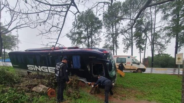 Colectivo despistó y chocó en San Martín: por fortuna no hay heridos.