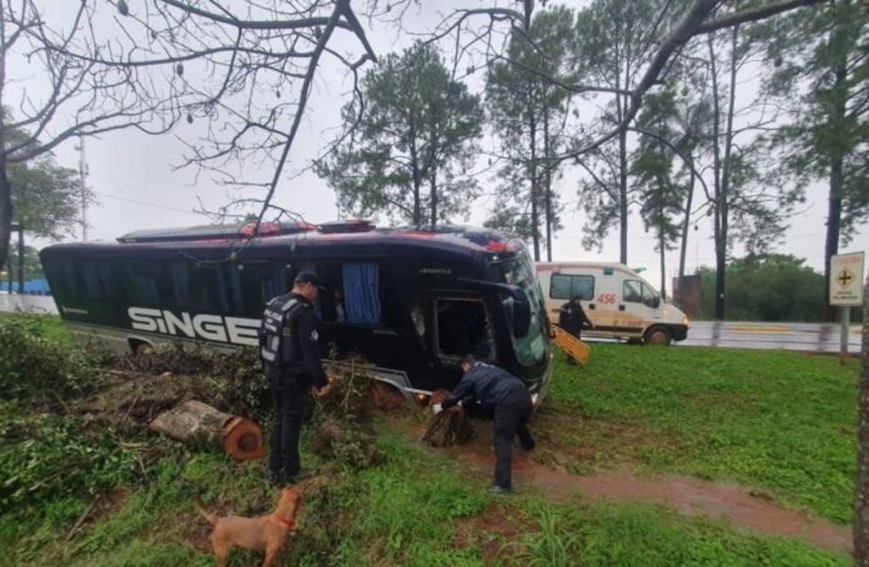 Colectivo despistó y chocó en San Martín: por fortuna no hay heridos