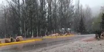 Nieve en el Manzano Histórico.