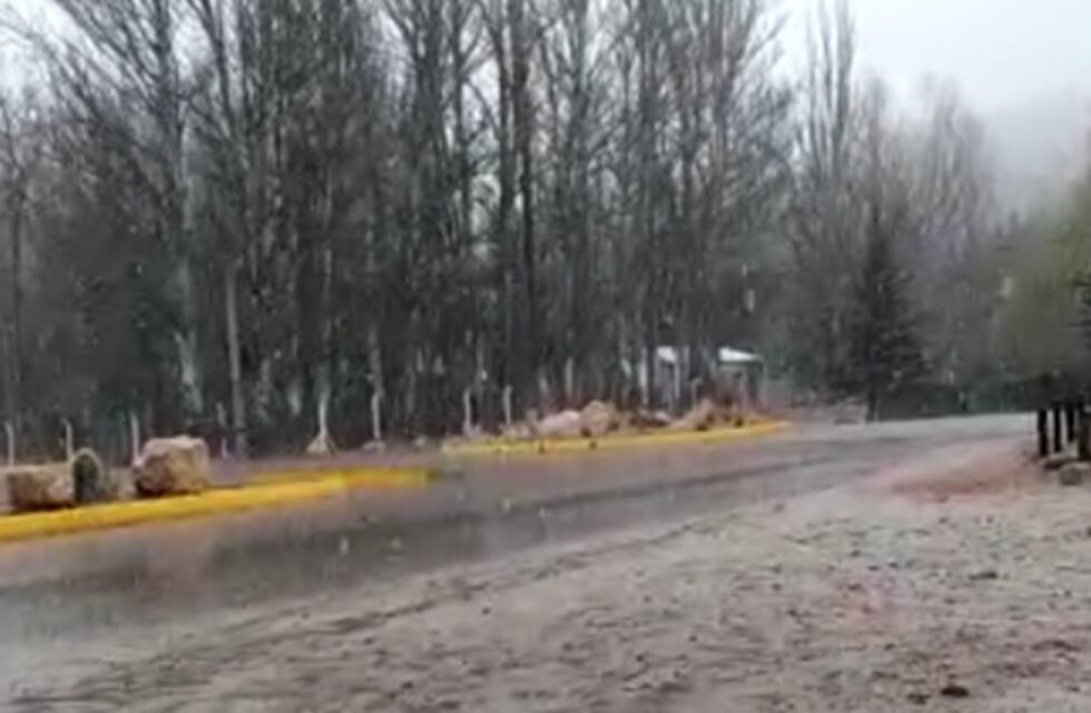 Nieve en el Manzano Histórico: de forma persistente se precipita una copiosa manta blanca cambiando el paisaje