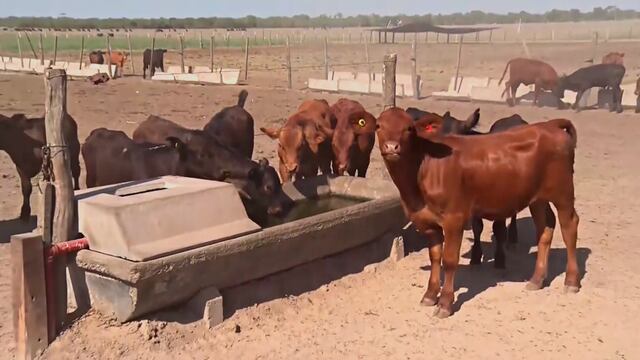 La sequía pone en jaque a varios sectores productivos de la provincia.