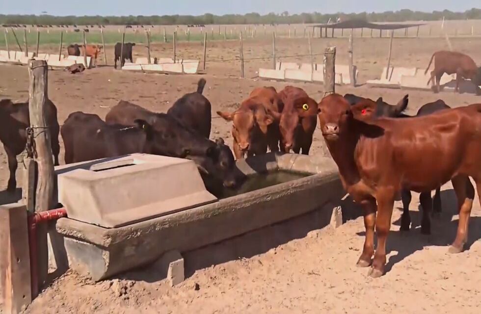 Sequía en Santa Fe: Omar Perotti se reunió con productores y anunció aporte de Nación