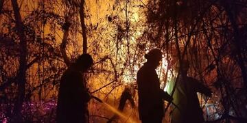 Bomberos Voluntarios y de la Policía erradicaron varios focos en la zona centro provincial.