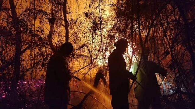 Bomberos Voluntarios y de la Policía erradicaron varios focos en la zona centro provincial.