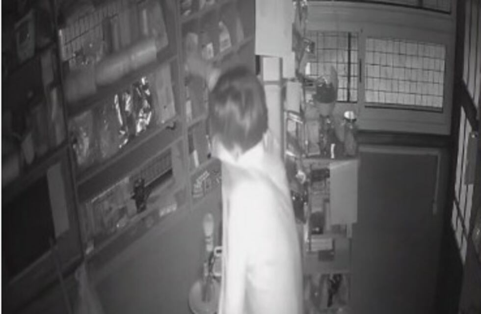 Villa Giardino: robaron en el kiosko de la terminal y quedaron grabados en las cámaras de seguridad
