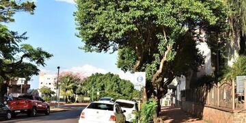 Aprueban el incremento de las tarifas del Estacionamiento Medido en Oberá.