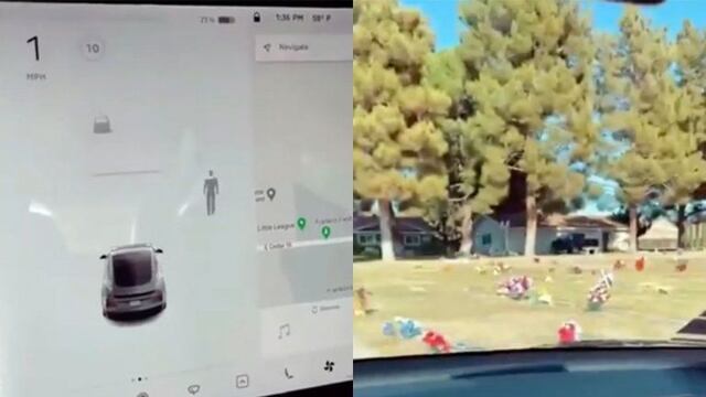 El video recibió una innumerable cantidad de reacciones en las redes sociales, sin poder establecerse una conclusión final y certera.