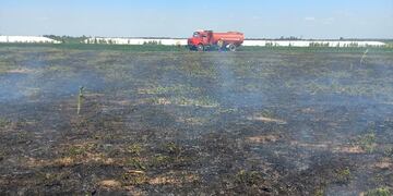 Incendio rural Arroyito