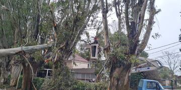 Postales del temporal en Azul