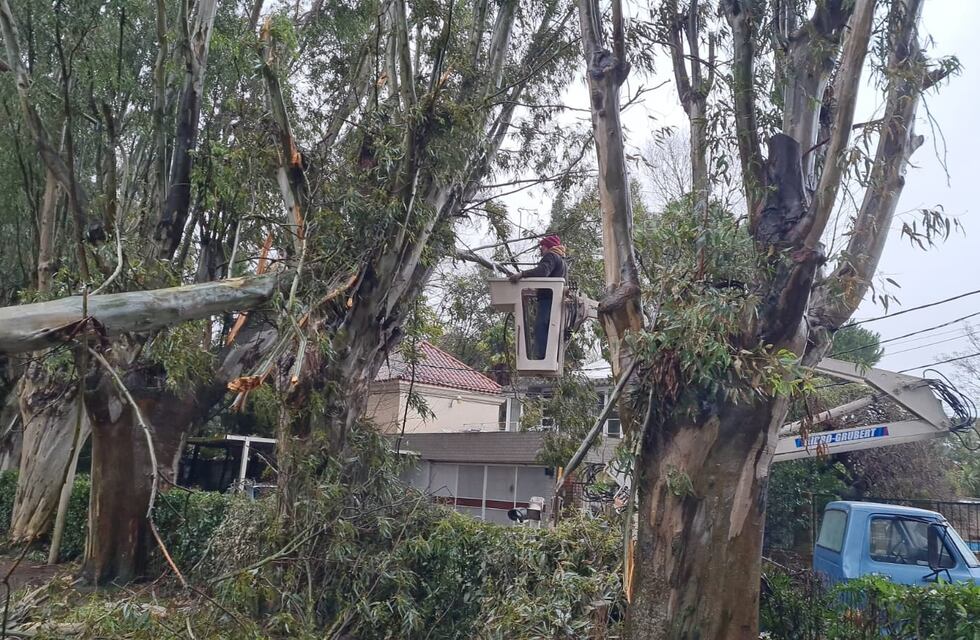 Temporal en Azul: sigue el alerta por vientos fuertes