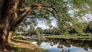 Encontraron un peligroso objeto dentro de un río de la provincia de Córdoba.