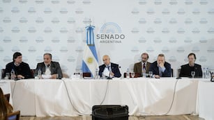 Se desarrolló una nueva reunión informativa por la "ley bases" en el Senado (Foto: Federico López Claro)