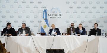 Se desarrolló una nueva reunión informativa por la "ley bases" en el Senado (Foto: Federico López Claro)