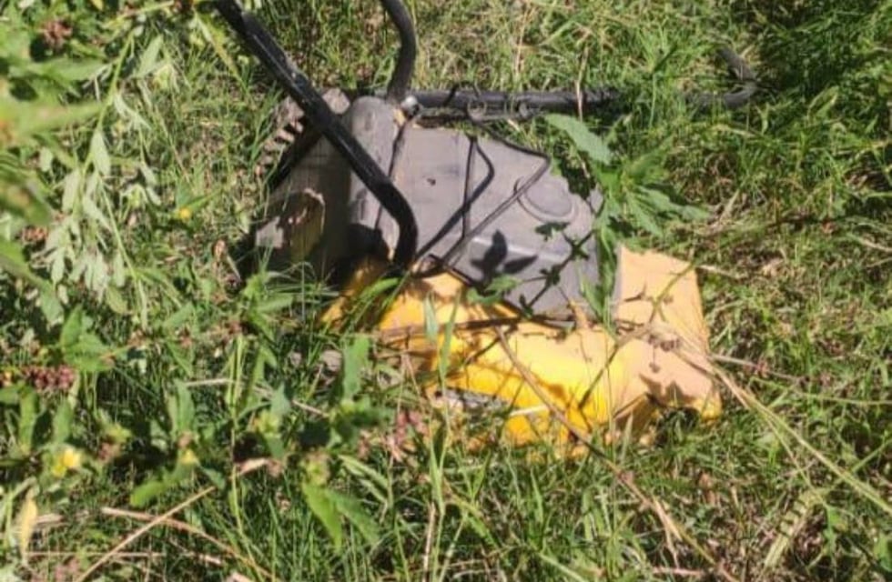 Intentaron robar una cortadora de césped y quedaron presos