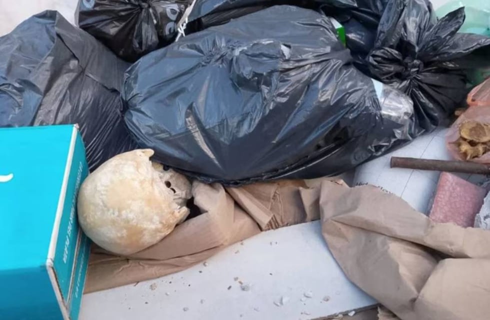 El macabro hallazgo en un contenedor de basura en Mar del Plata: la principal hipótesis