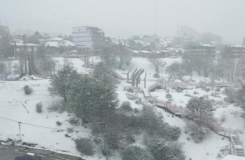 Así fue la nevada del sábado en Ushuaia