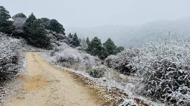 Las autoridades anunciaron el ingreso de un frente frío que impactará en las temperaturas y una probable caída de nieve en determinados sectores de la provincia de Córdoba.