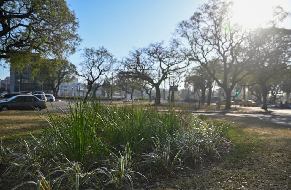 Insólitas imágenes: encontraron un enorme explosivo militar dentro de una casa en Córdoba