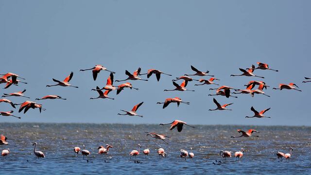 Alejandra Vigo celebró la confirmación del ahora Parque Nacional Ansenuza (La Voz).