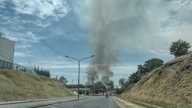 Debido a los incendios en las islas del río Paraná, el aire en Rosario es más peligroso.
