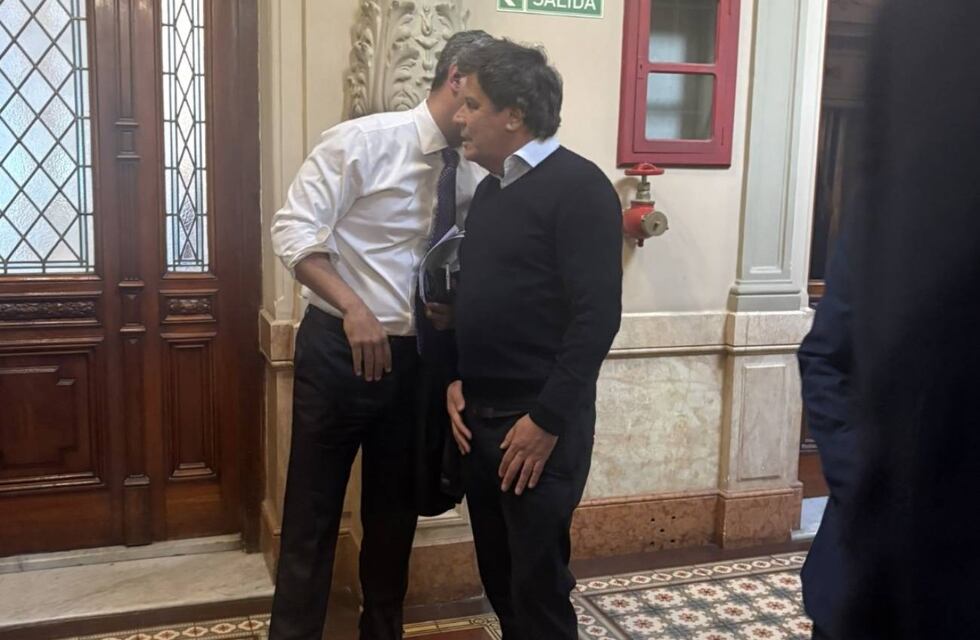 Facundo Manes denunció a Martín Menem por amenazas: el libertario lo desmintió