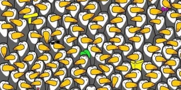 El acertijo visual que solo los más observadores pueden resolver: ¿Sos capaz de hallar al pingüino escondido?.