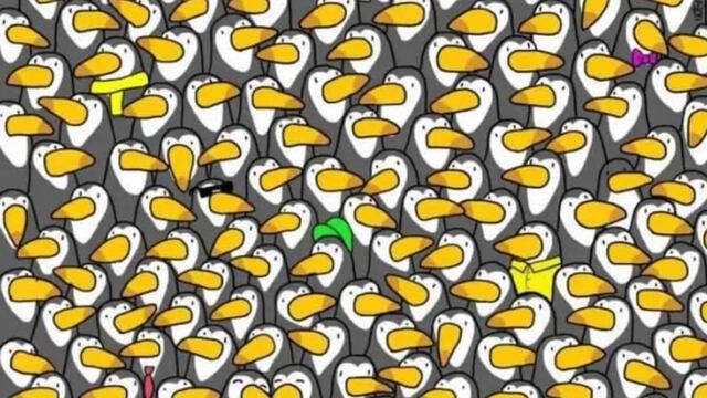 El acertijo visual que solo los más observadores pueden resolver: ¿Sos capaz de hallar al pingüino escondido?.