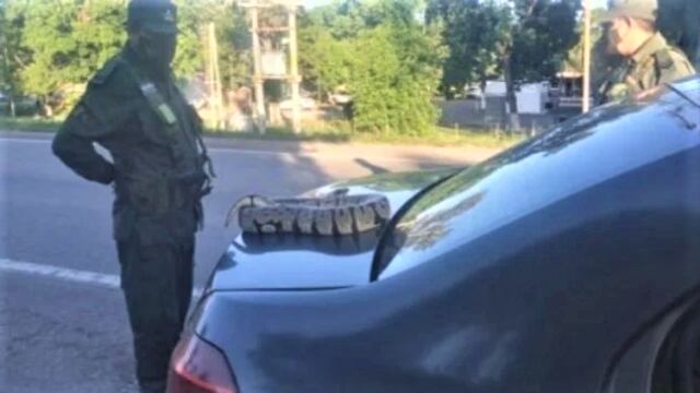 Gendarmes descubrieron una serpiente pitón que era transportada por una mujer en un remís, en Yuto.