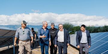 Energía limpia para el futuro: Olivas al Mundo instala paneles solares para optimizar su producción.