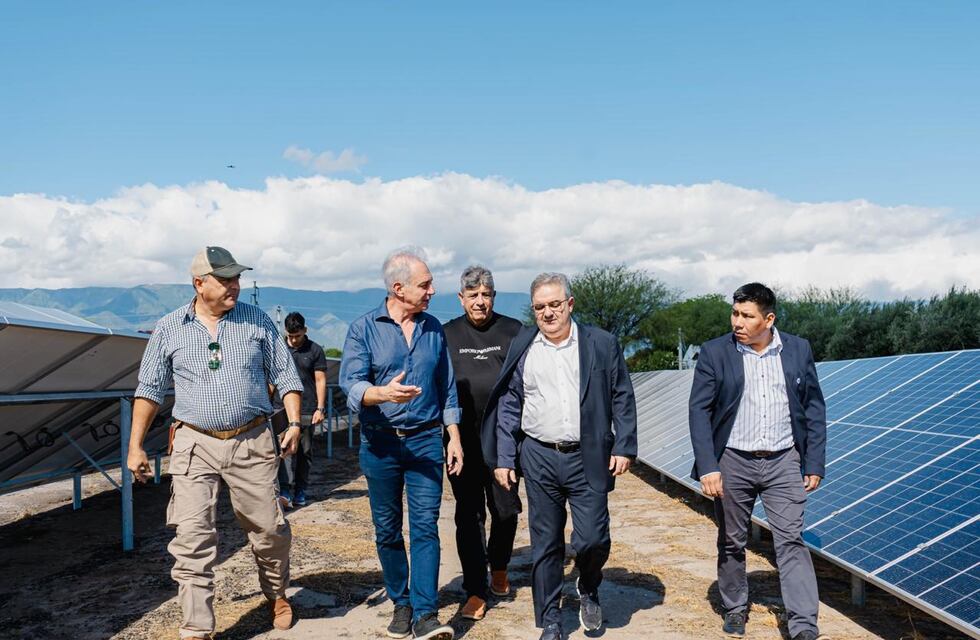 Innovación y sostenibilidad: Olivas al Mundo implementa energía solar