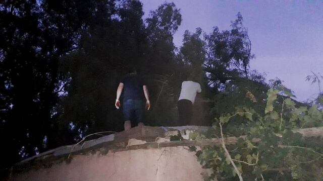 Un árbol gigante cayó sobre el techo de una casa en San Rafael.