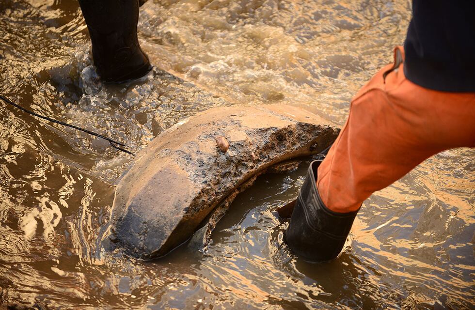 Lo que el agua se llevó: la lluvia arrastró caños de la obra cloacal en Alberdi y Villa Páez