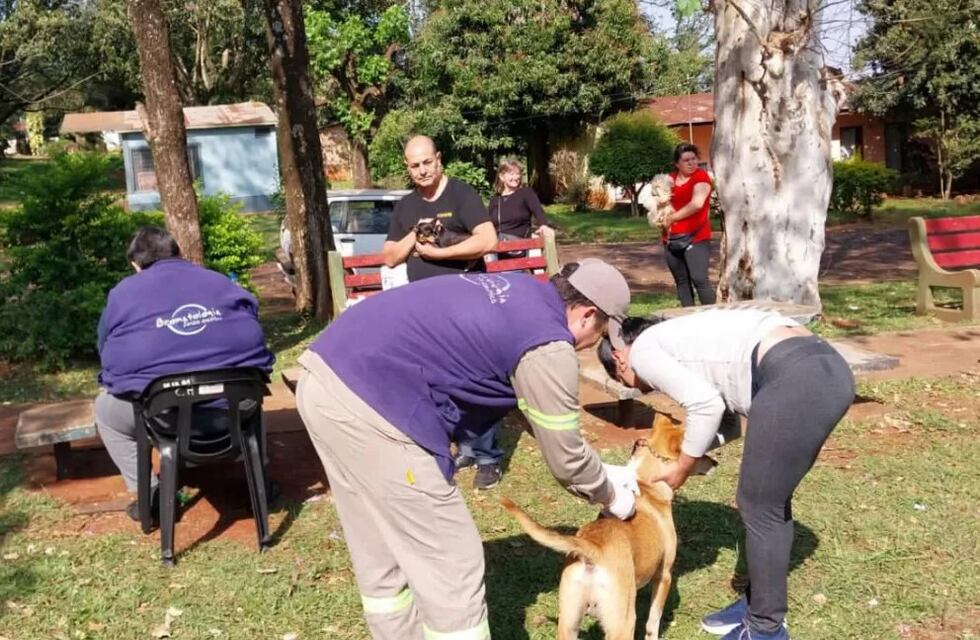 Jornada de vacunación antirrábica en Jardín América