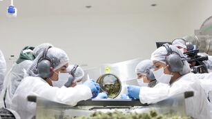 El modelo Cannava S.E. que funciona en Jujuy desde 2018 es una referencia que toma la provincia de Salta.