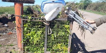 Tiraba basura y lo multaron