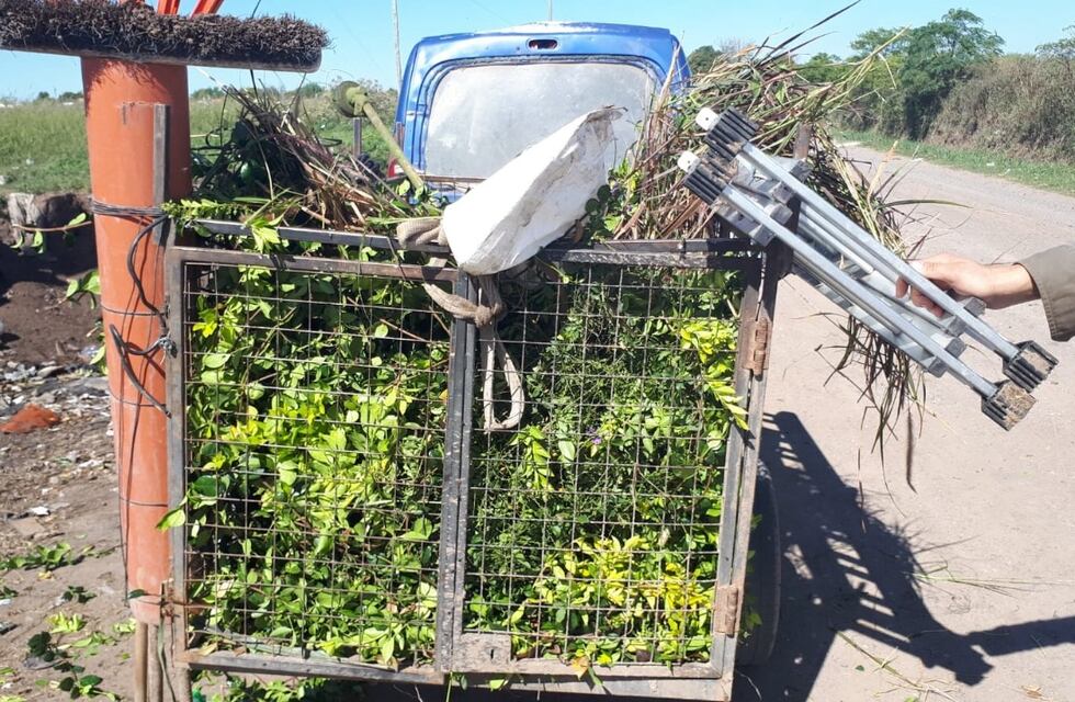 Tiraba basura y lo multaron