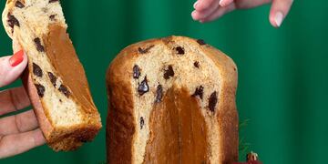 Cuánto cuesta el Pan dulce con chips de chocolate y dulce de leche que vende Havanna para Navidad 2024