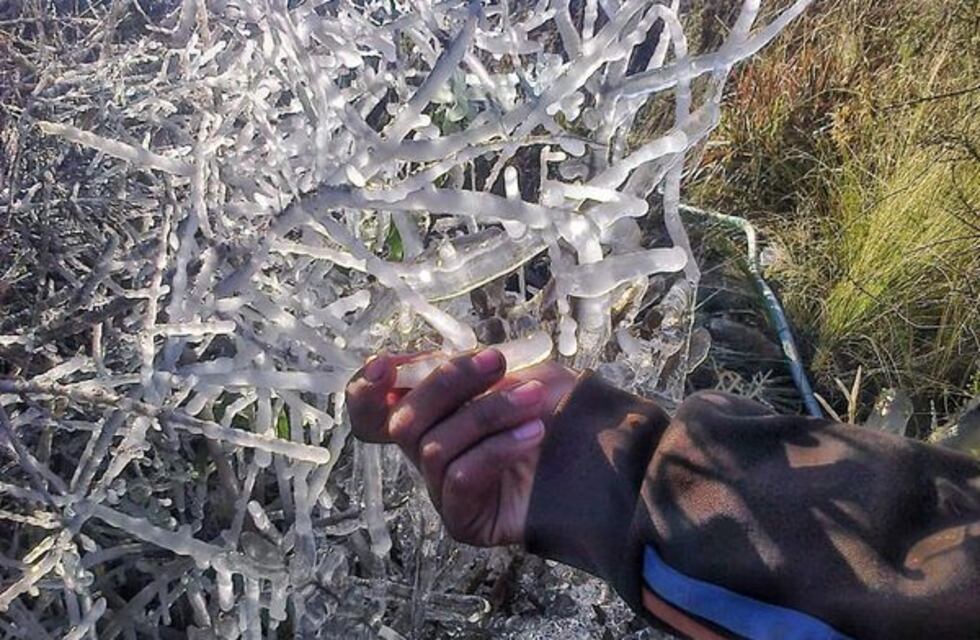 Leve aumento de la temperatura para el martes